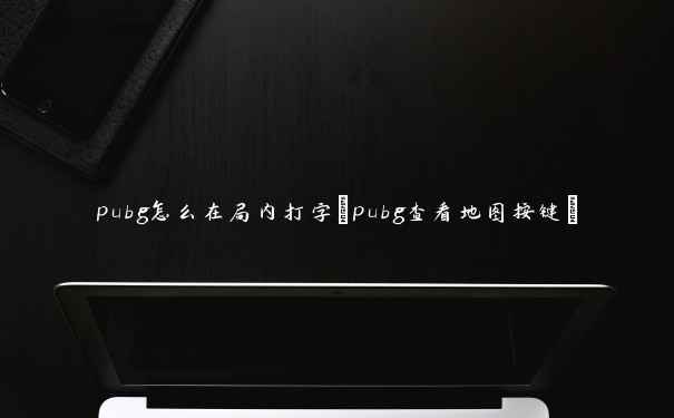 pubg怎么在局内打字(pubg查看地图按键)