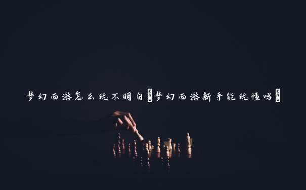 梦幻西游怎么玩不明白(梦幻西游新手能玩懂吗)