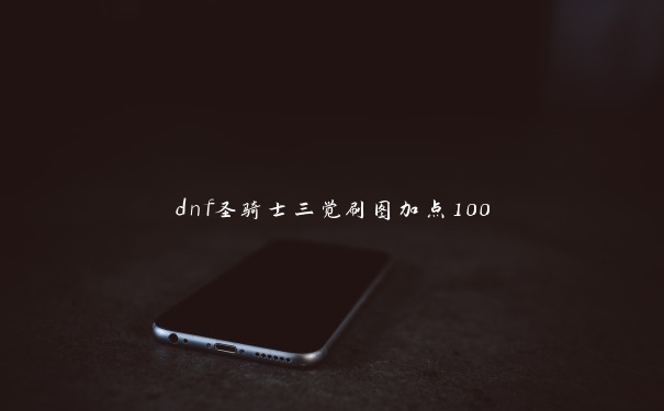 dnf圣骑士三觉刷图加点100