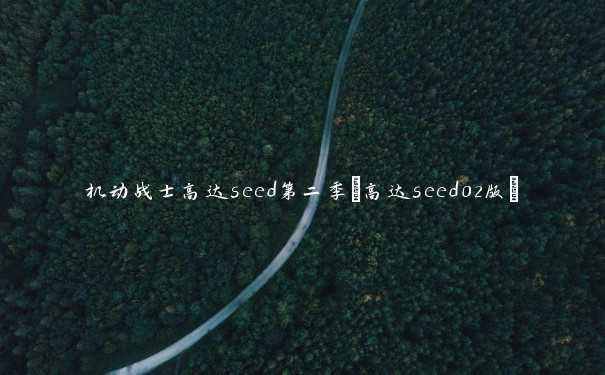 机动战士高达seed第二季(高达seed02版)