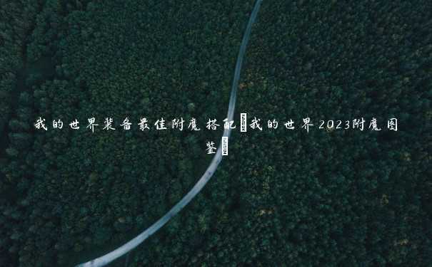 我的世界装备最佳附魔搭配(我的世界2023附魔图鉴)