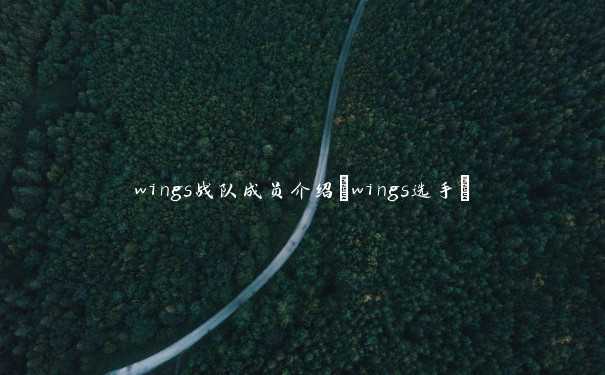 wings战队成员介绍(wings选手)