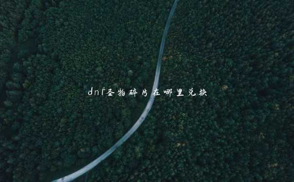 dnf圣物碎片在哪里兑换