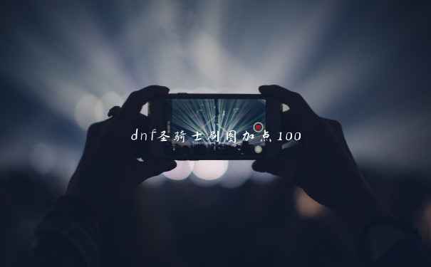 dnf圣骑士刷图加点100