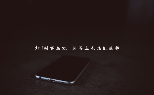 dnf刺客技能 刺客上衣技能选择