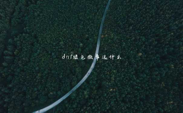 dnf绿色徽章选什么