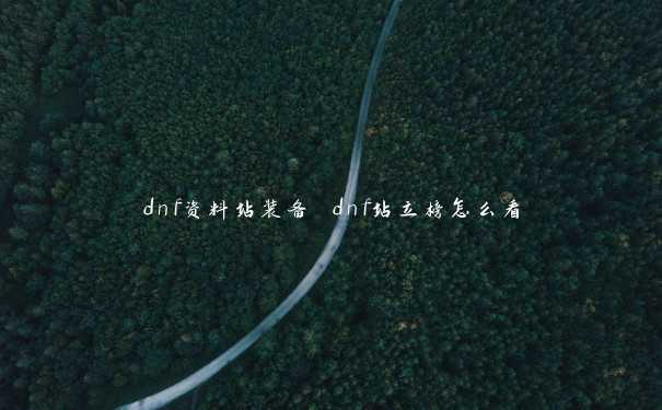 dnf资料站装备 dnf站立榜怎么看