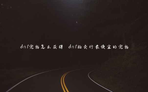 dnf宠物怎么获得 dnf拍卖行最便宜的宠物