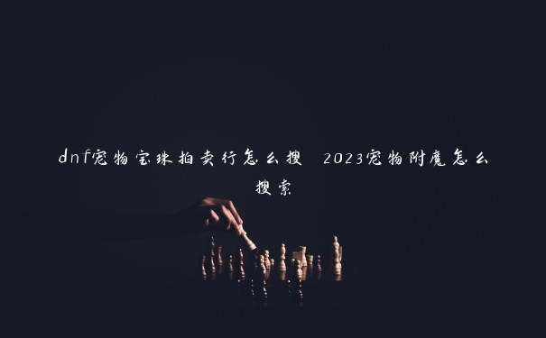 dnf宠物宝珠拍卖行怎么搜 2023宠物附魔怎么搜索