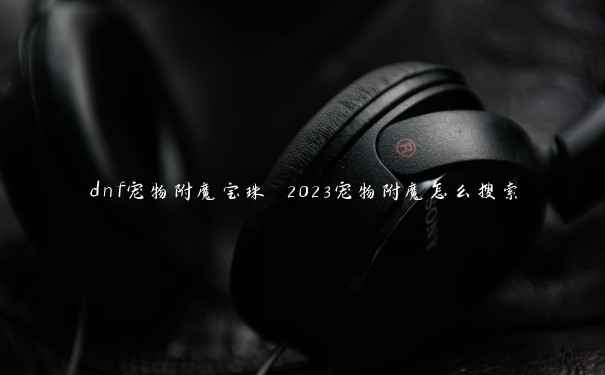 dnf宠物附魔宝珠 2023宠物附魔怎么搜索