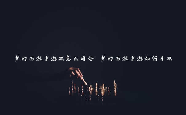 梦幻西游手游双怎么用好 梦幻西游手游如何开双