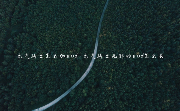 元气骑士怎么加mod 元气骑士无邪的mod怎么关