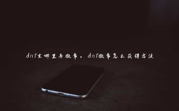 dnf去哪里弄徽章，dnf徽章怎么获得方法