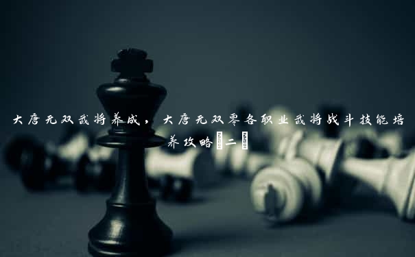 大唐无双武将养成，大唐无双零各职业武将战斗技能培养攻略(二)