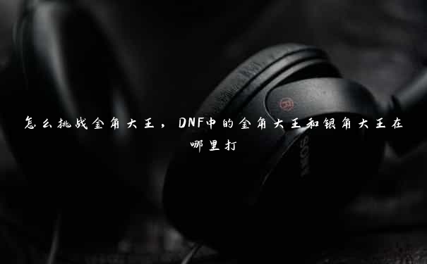 怎么挑战金角大王，DNF中的金角大王和银角大王在哪里打