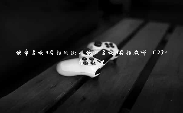 使命召唤9存档删除，使命召唤9存档放哪 COD9存档位置