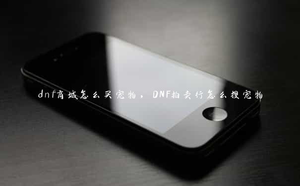 dnf商城怎么买宠物，DNF拍卖行怎么搜宠物