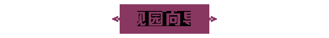 罗莎莉亚圣遗物及武器搭配教程（罗莎莉亚圣遗物及武器搭配介绍）--第2张