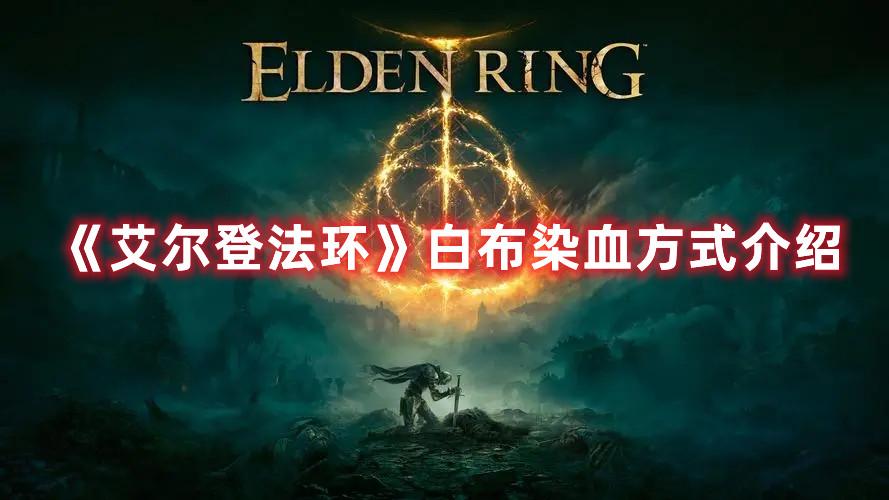 艾尔登法环哪里可以找到魔石剑钥匙（魔石剑钥匙位置推荐）--第1张